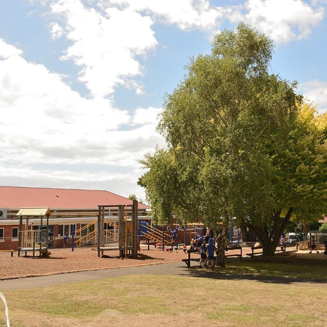Devonport Primary School